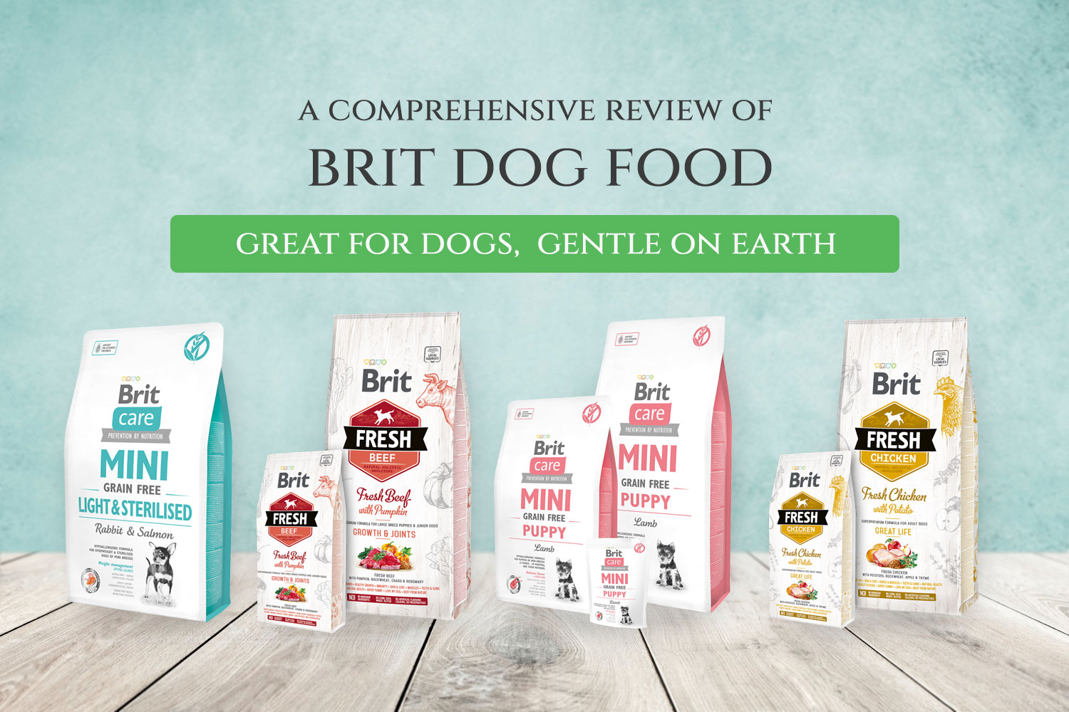brit dog food review